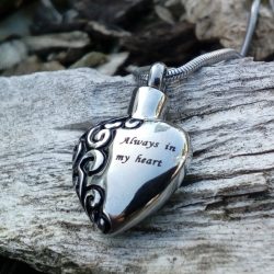 Alternative view of Always in my Heart