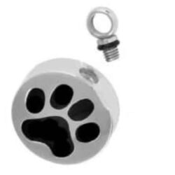 Alternative view of Black Paw