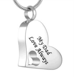 My Dad Love Always