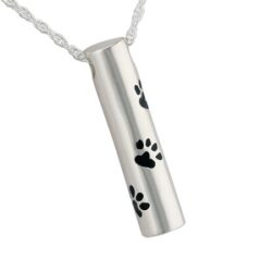 Alternative view of Paw Cylinder